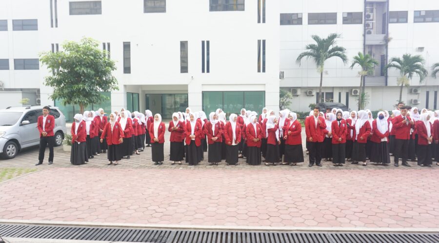 PLP II