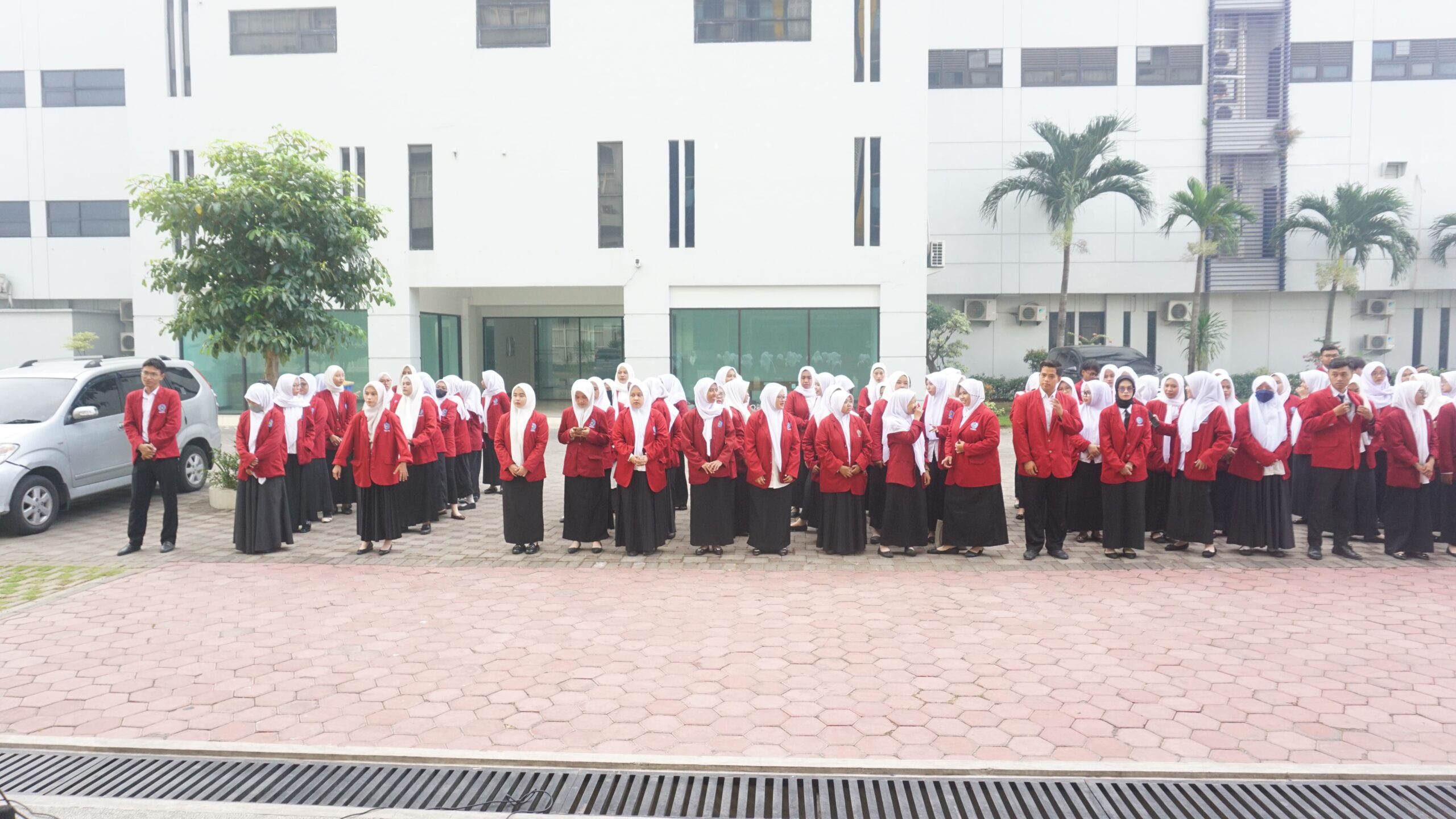 PLP II
