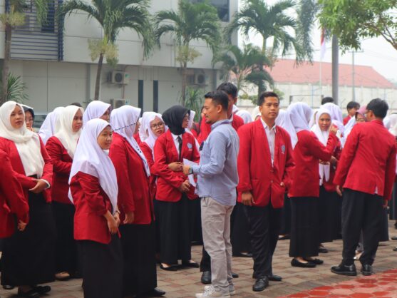 PLP II 