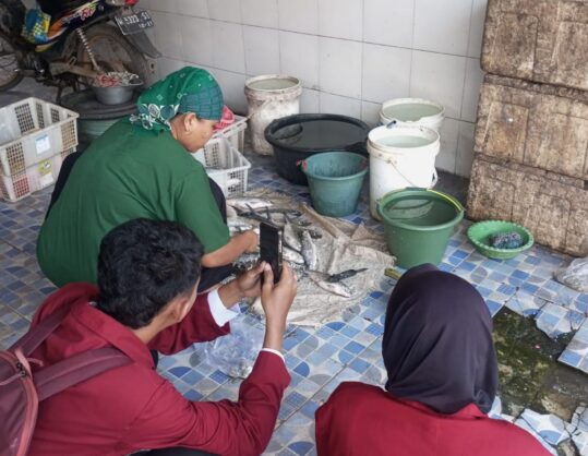 Pendidikan IPA